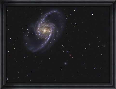 Framed NGC 1365 is a barred spiral galaxy in the Constellation Fornax Print