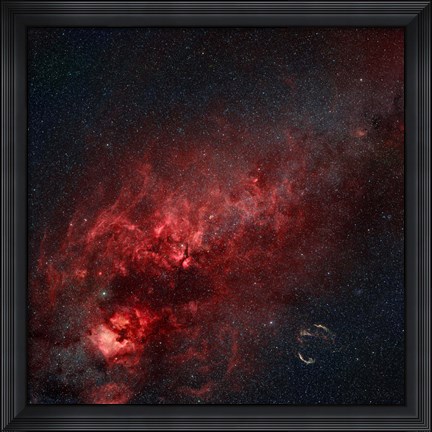 Framed Constellation Cygnus with multiple nebulae visible Print