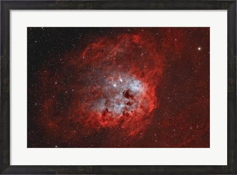 Framed Tadpole Nebula II Print