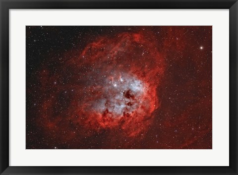 Framed Tadpole Nebula II Print