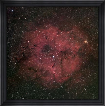 Framed large IC 1396 emission Nebula complex Print