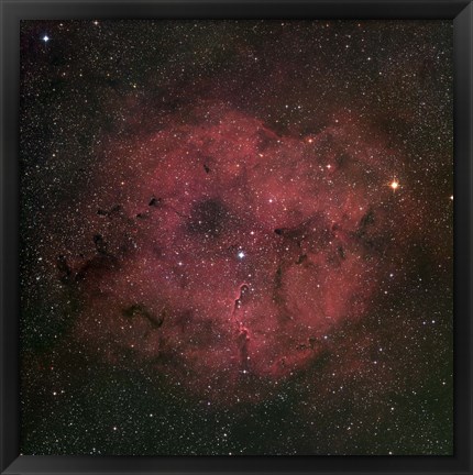 Framed large IC 1396 emission Nebula complex Print