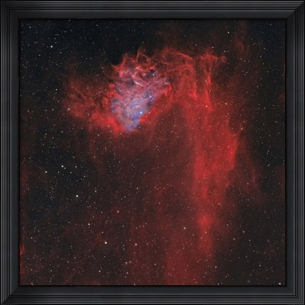 Framed Flaming Star Nebula I Print