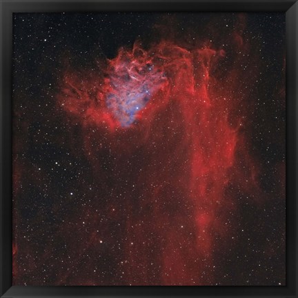 Framed Flaming Star Nebula I Print