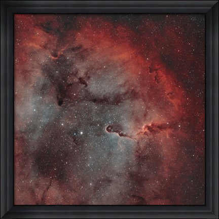 Framed IC 1396, The Elephant Trunk Nebula Print