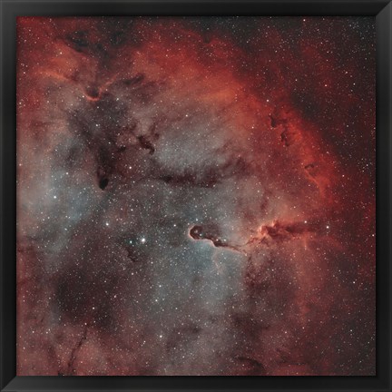 Framed IC 1396, The Elephant Trunk Nebula Print