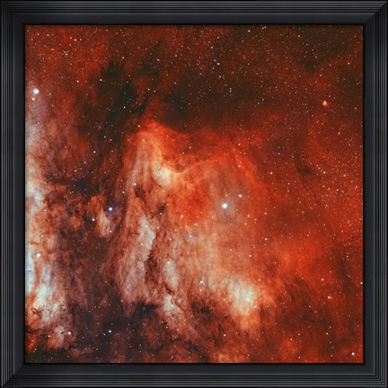 Framed Pelican Nebula II Print