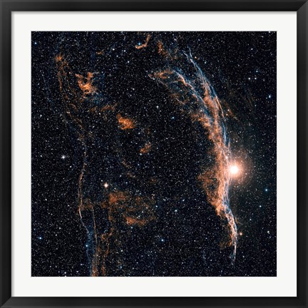 Framed Witch&#39;s Broom Nebula (NGC 6960), and part of the Veil Nebula Print