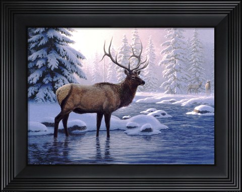 Framed Elk In Winter Print