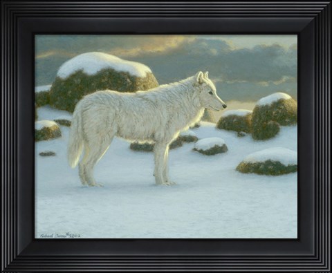 Framed White Wolf Print