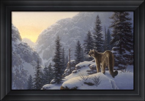 Framed Lot Of Cat Print