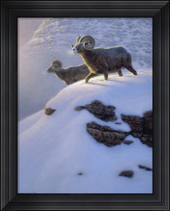 Framed Canyon Shadows Print