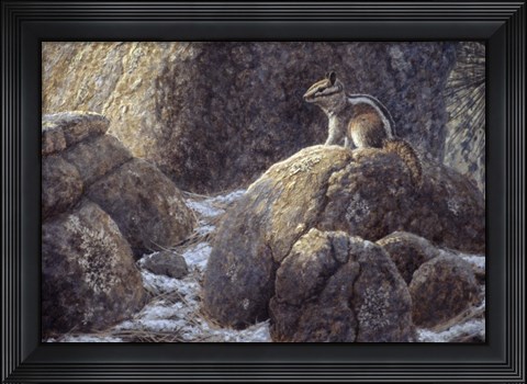 Framed Chipmunk Print
