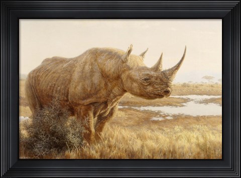 Framed Savannah Sunset Print