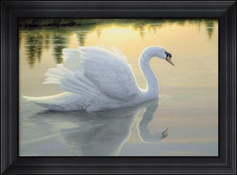 Framed Quiet Waters Print