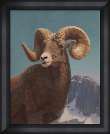 Framed High In The Rockies Print