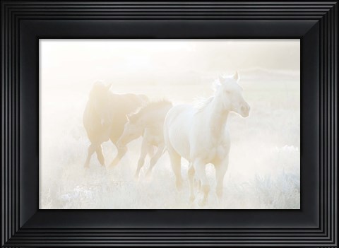 Framed Spirit Series II Print