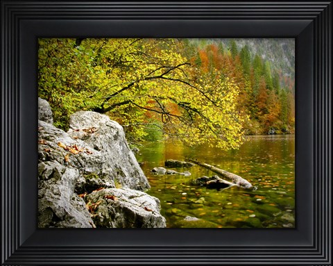 Framed Reaching Color Print