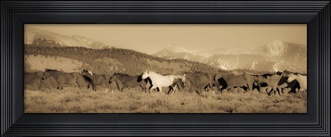 Framed One Print