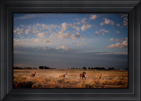 Framed Open Spaces Print