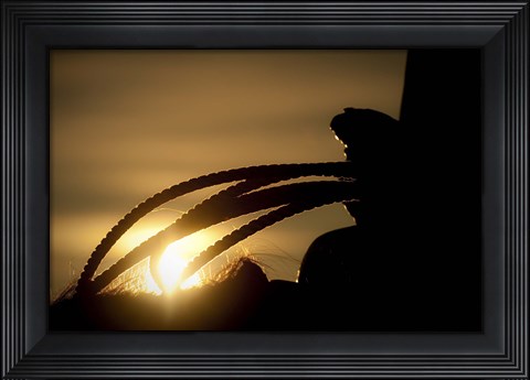 Framed Starting the Day Print