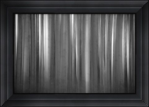 Framed Aspen Form Print
