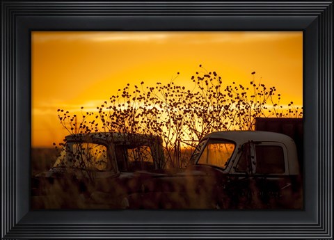 Framed Beauty After Life Print