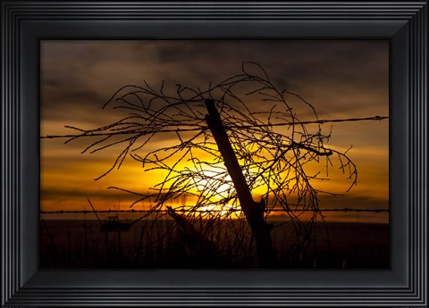 Framed Blowing in the Wind Print