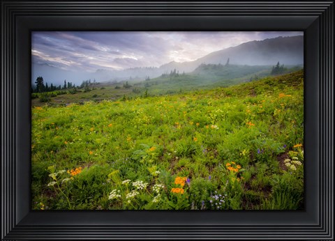 Framed Colorado Flowers Print