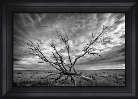 Framed Colorado Storm Print