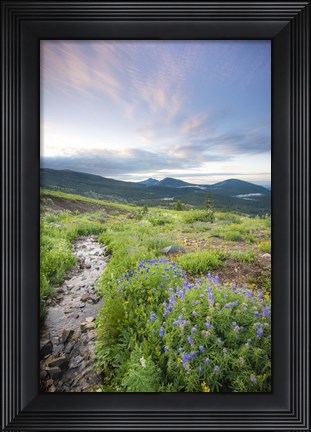 Framed Crested Butte Stream Print