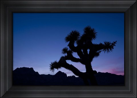 Framed Desert Silence Print