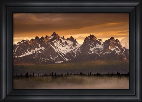 Framed Devils Horn Print