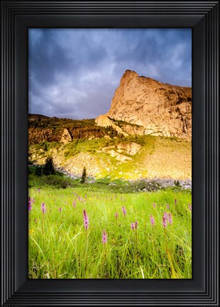 Framed Music Summer Print