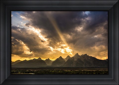 Framed Power Of Beauty Print