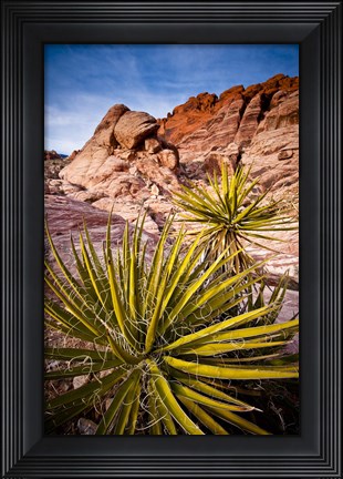 Framed Red Rocks Print