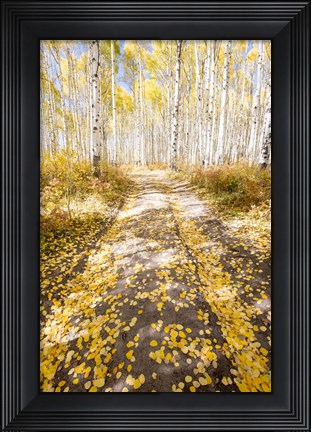 Framed Road To Fall Print