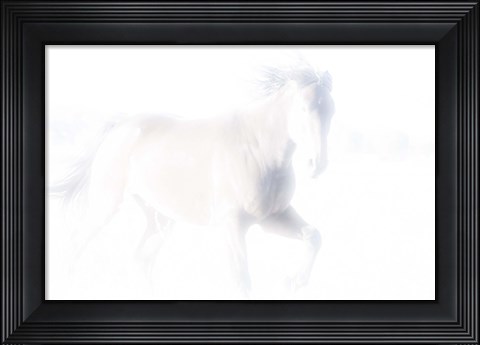 Framed Spirit Series V Print
