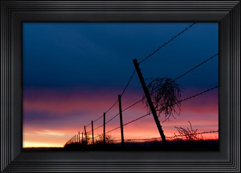 Framed Tumble Weed Print