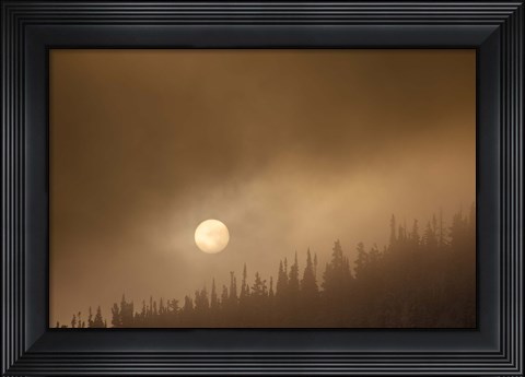 Framed Wild Moon II Print