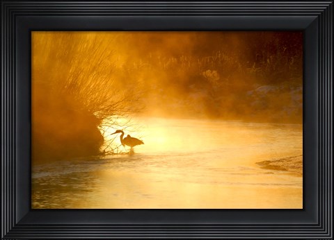 Framed Glowing Mist Print