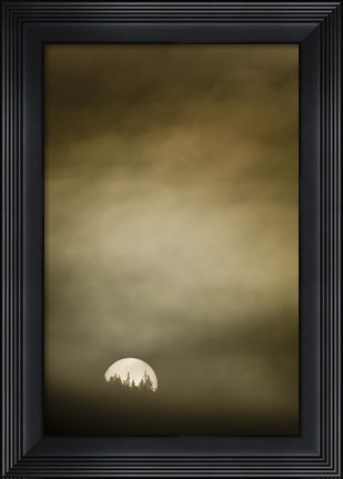Framed Wild Moon I Print