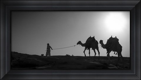 Framed Camel Trip, Jordan Print