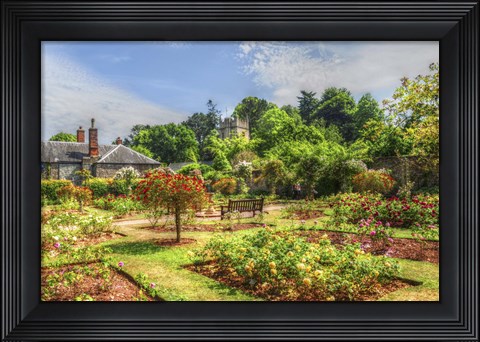 Framed Garden 2 Print