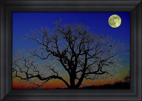 Framed Moonlight Print