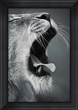 Framed Yawn Print