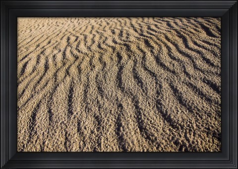 Framed Canunda National Park Print