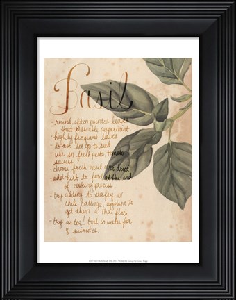 Framed Herb Study I Print