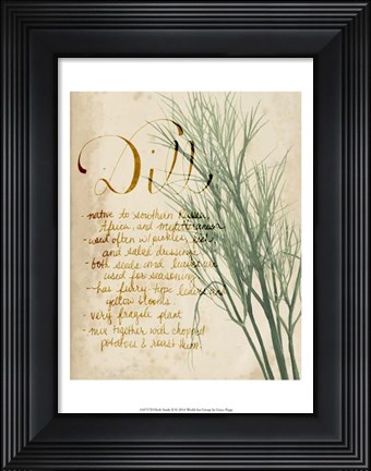 Framed Herb Study II Print