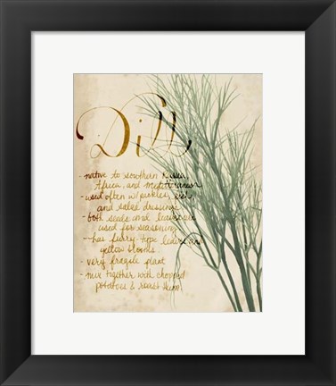 Framed Herb Study II Print